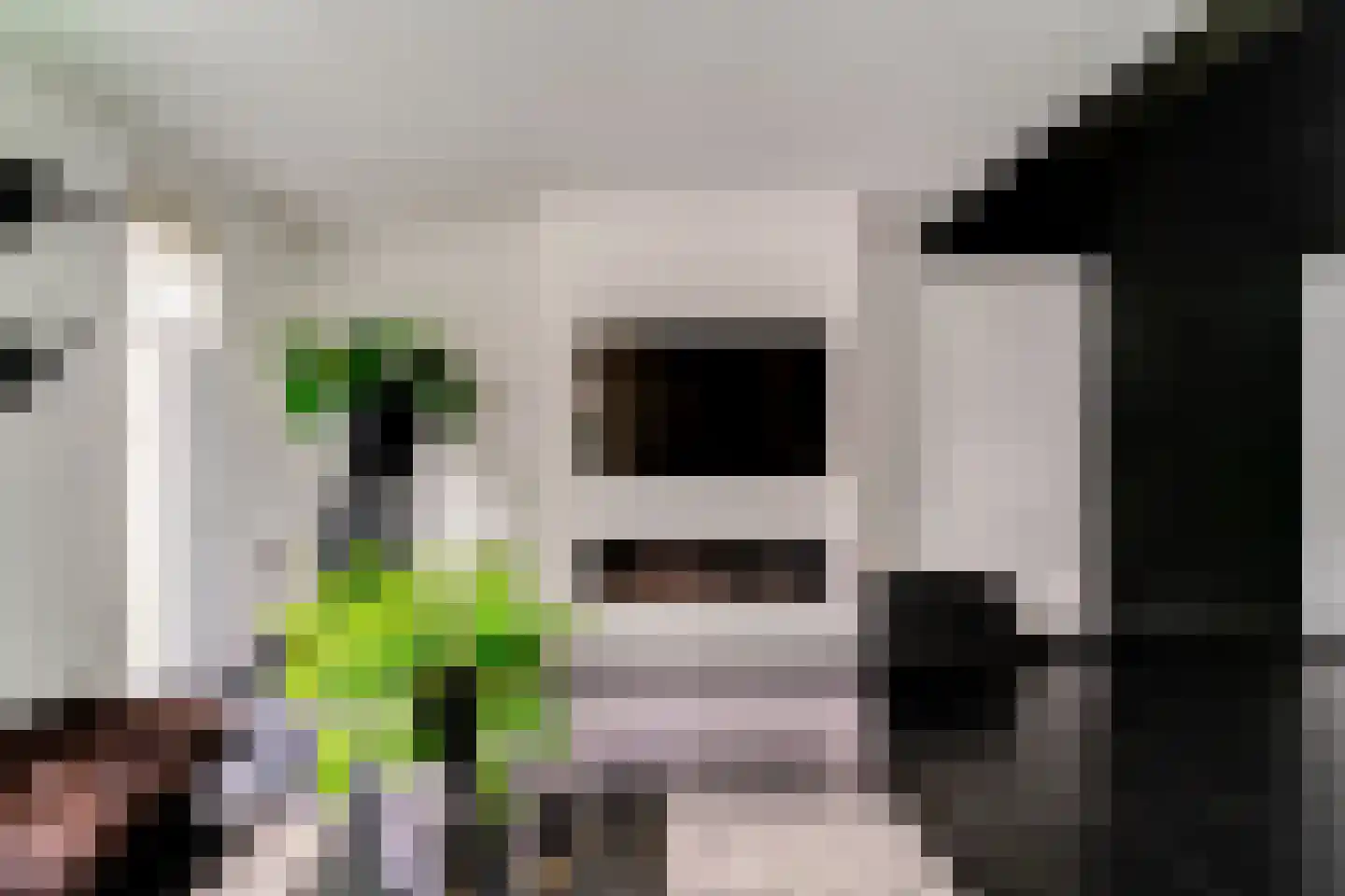 Lavendelstraat 11 Didam thumbnail 12