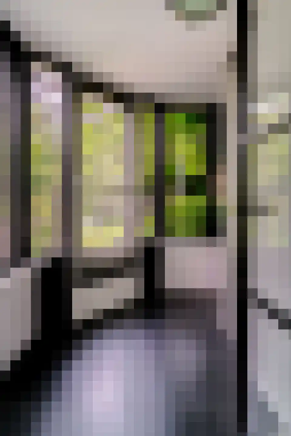 Lavendelstraat 11 Didam thumbnail 16