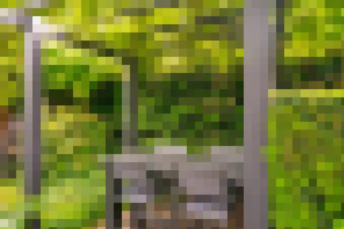 Lavendelstraat 11 Didam thumbnail 17