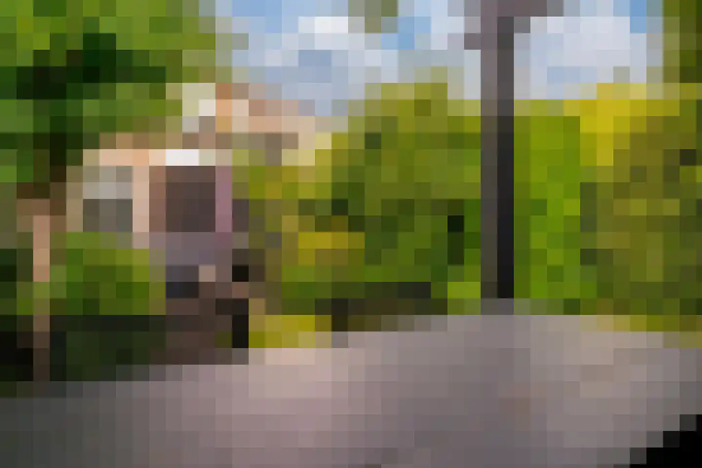 Lavendelstraat 11 Didam thumbnail 18