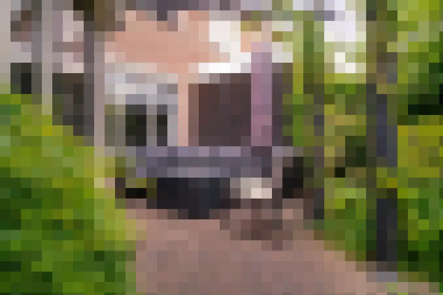 Lavendelstraat 11 Didam thumbnail 19