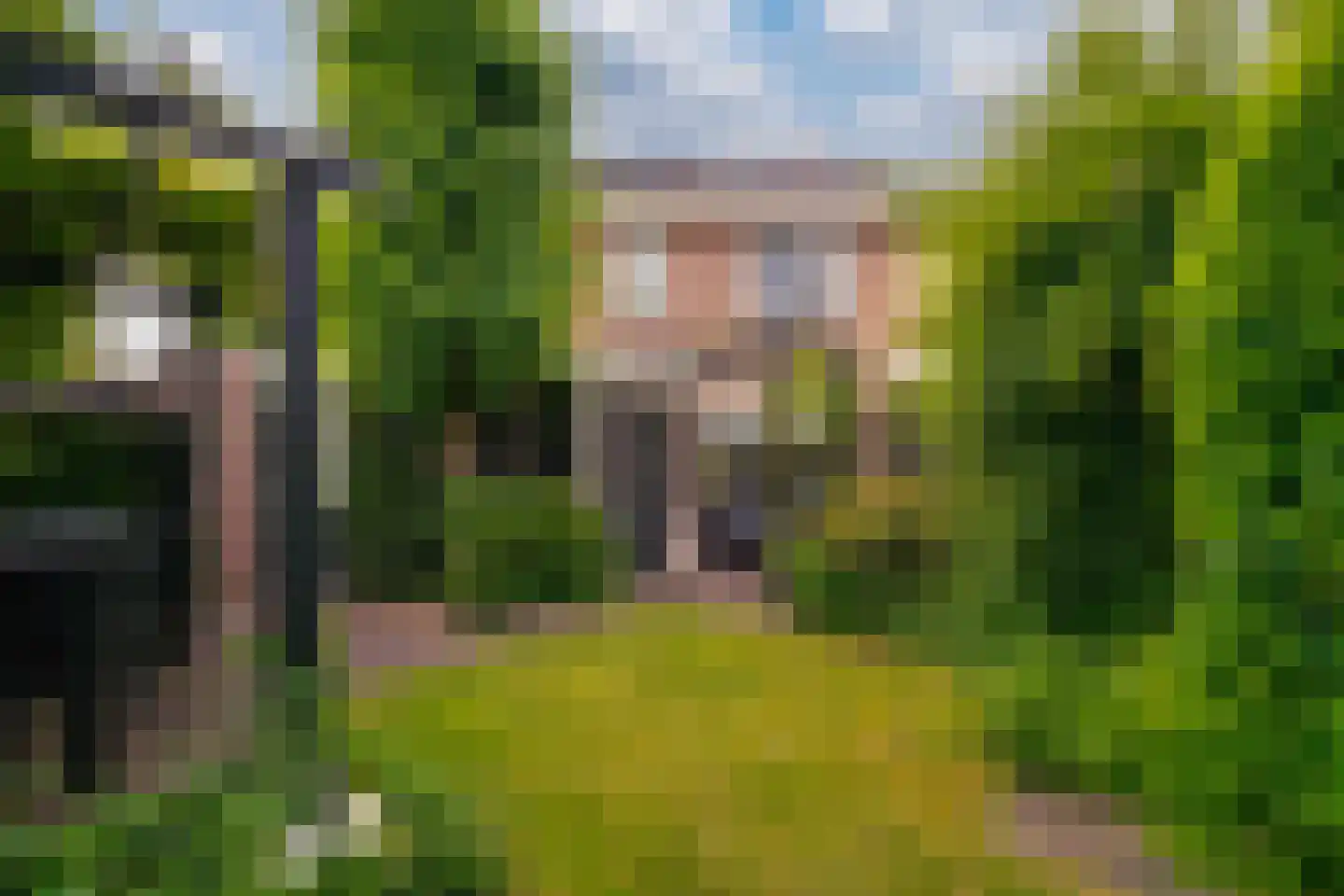 Lavendelstraat 11 Didam thumbnail 20