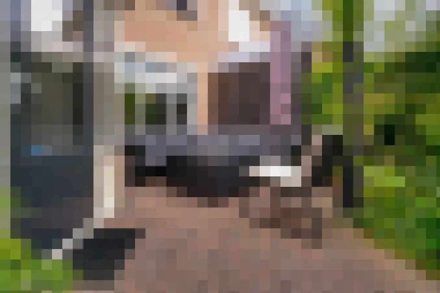Lavendelstraat 11 Didam thumbnail 21