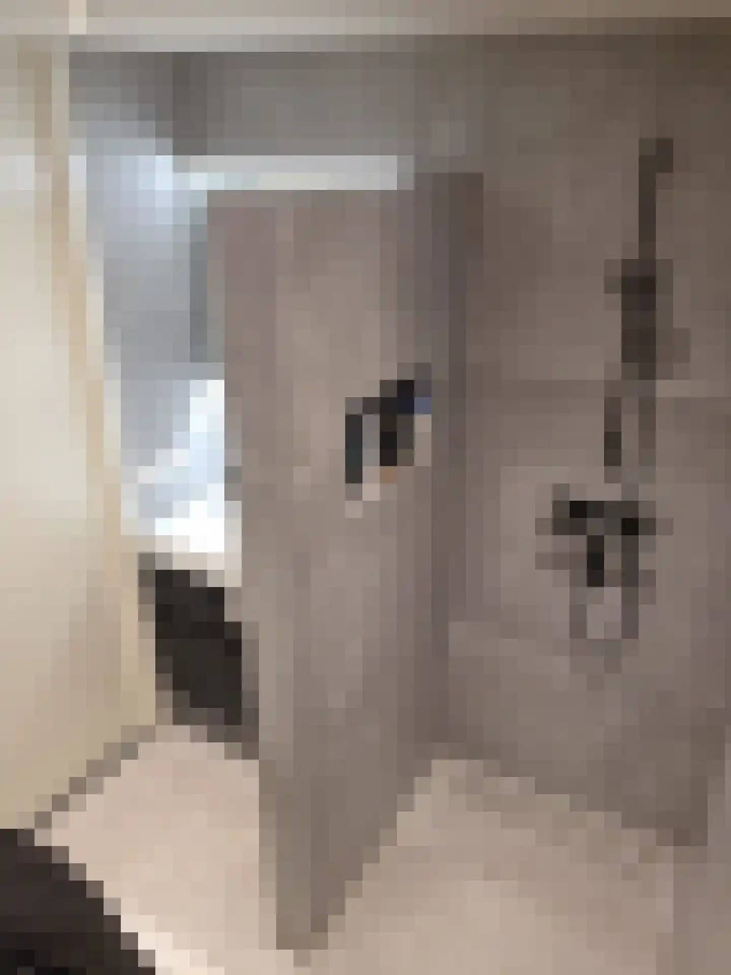 Lavendelstraat 11 Didam thumbnail 21