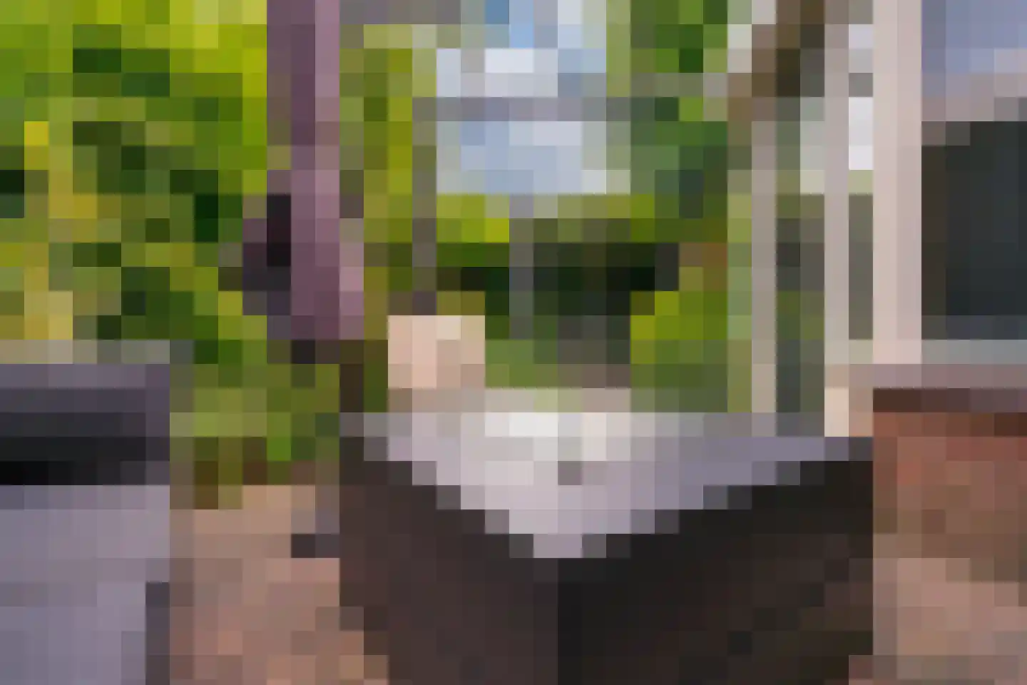 Lavendelstraat 11 Didam thumbnail 22