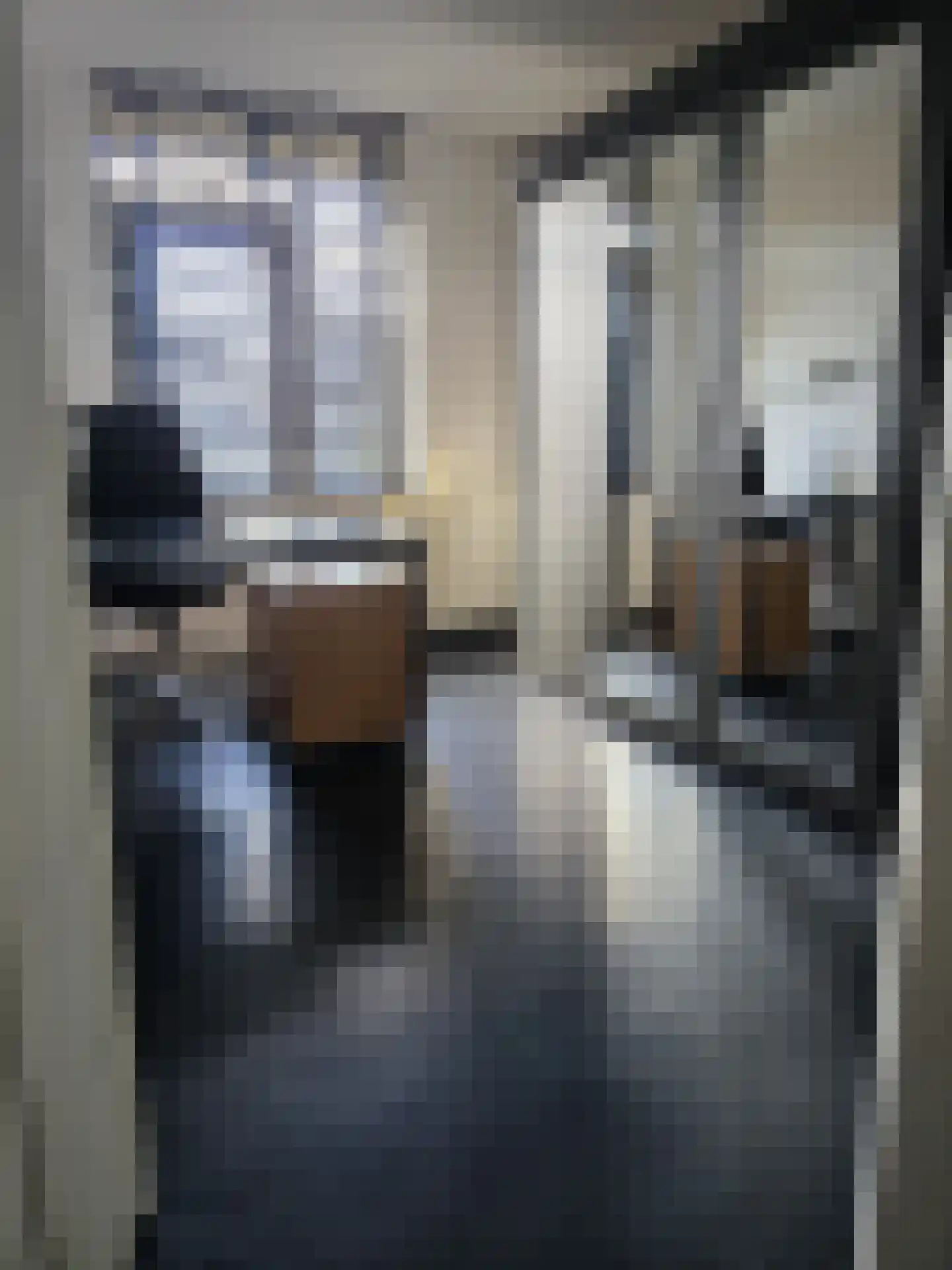 Lavendelstraat 11 Didam thumbnail 24