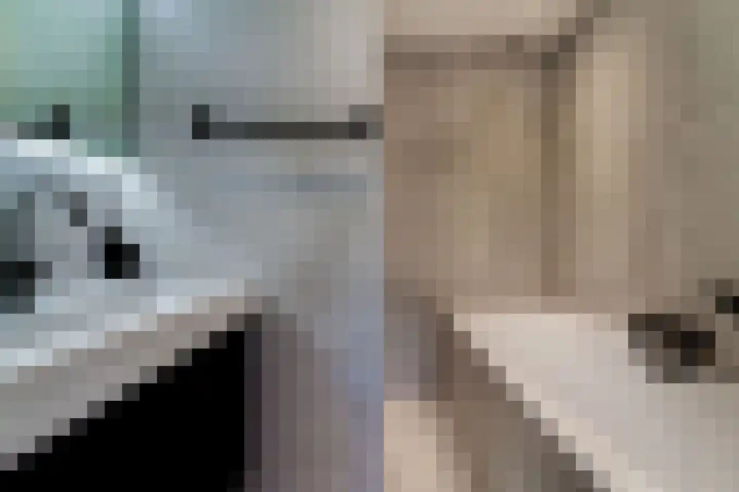 Lavendelstraat 11 Didam thumbnail 24