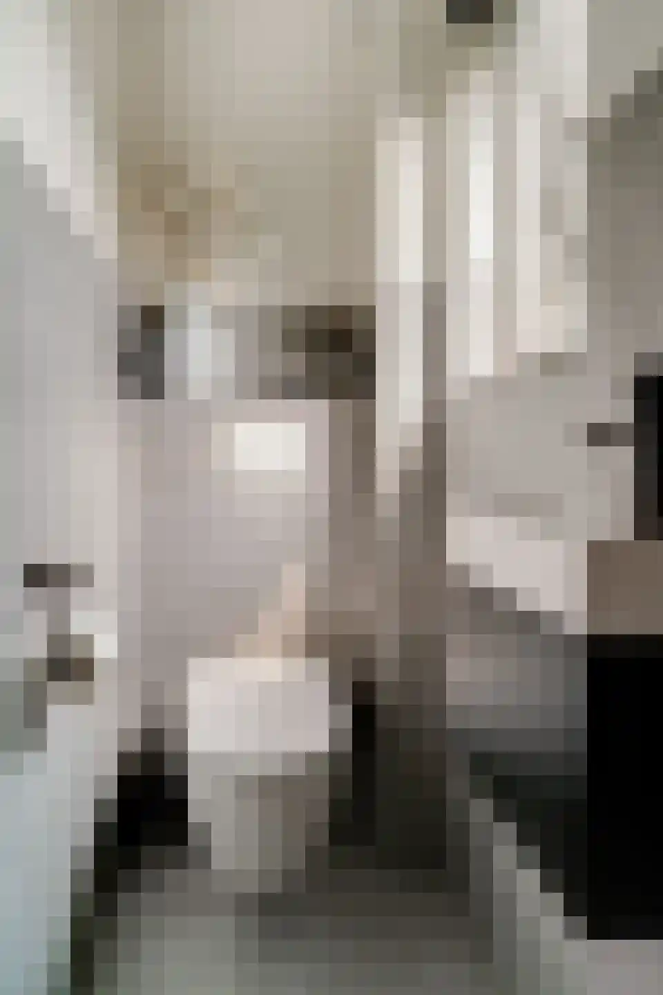 Lavendelstraat 11 Didam thumbnail 28