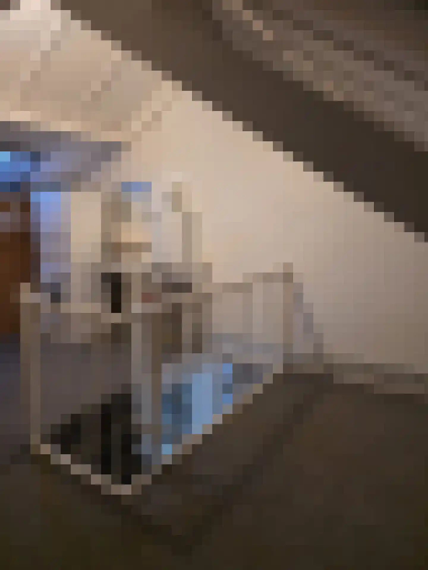 Lavendelstraat 11 Didam thumbnail 29