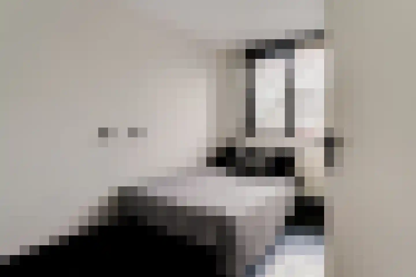 Lavendelstraat 11 Didam thumbnail 33