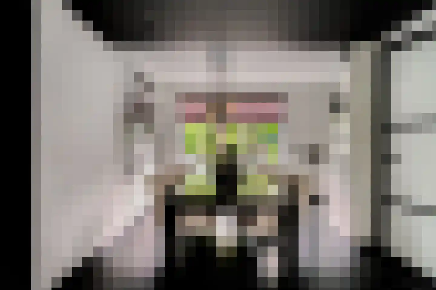 Lavendelstraat 11 Didam thumbnail 4