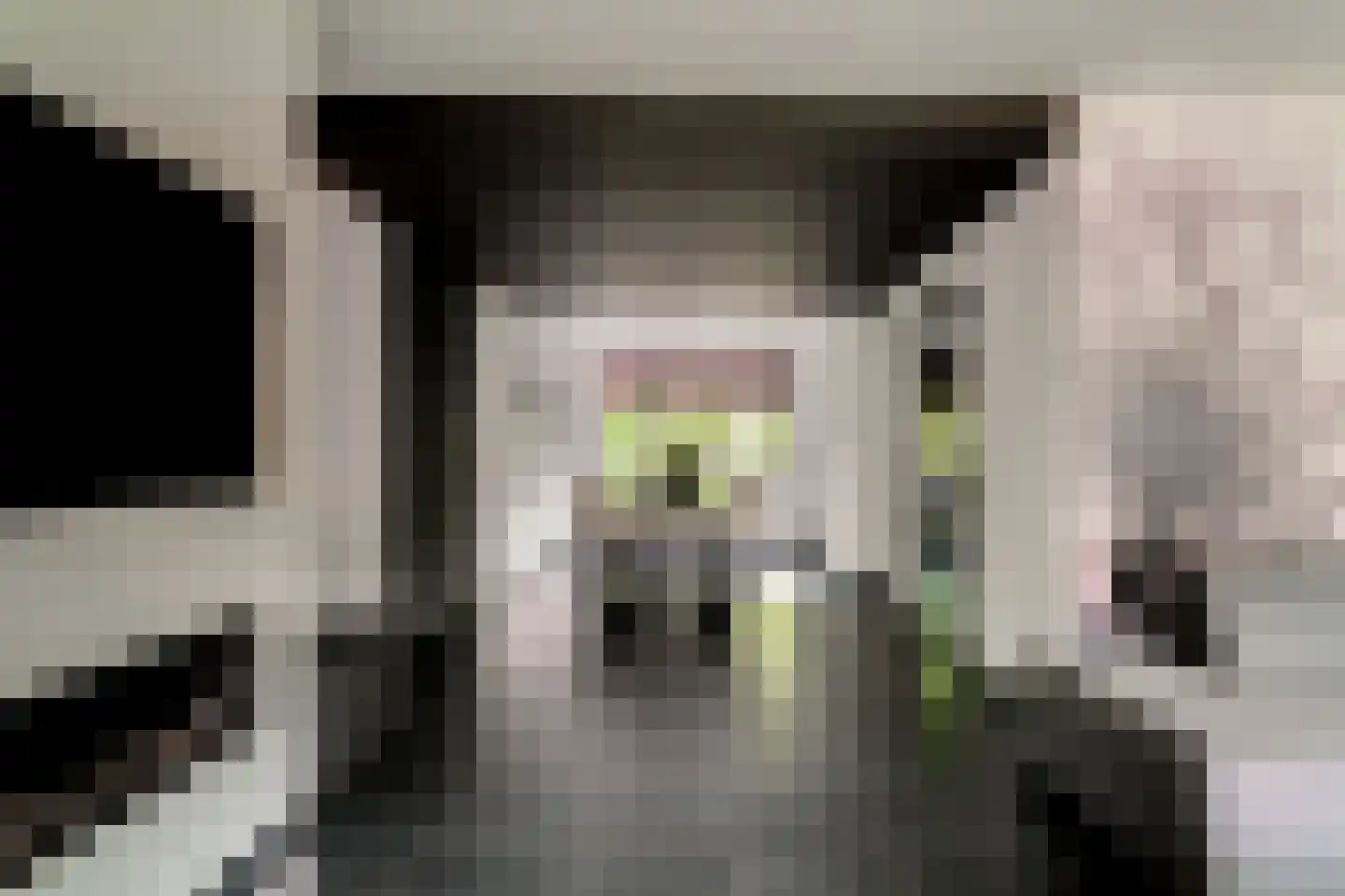 Lavendelstraat 11 Didam thumbnail 5