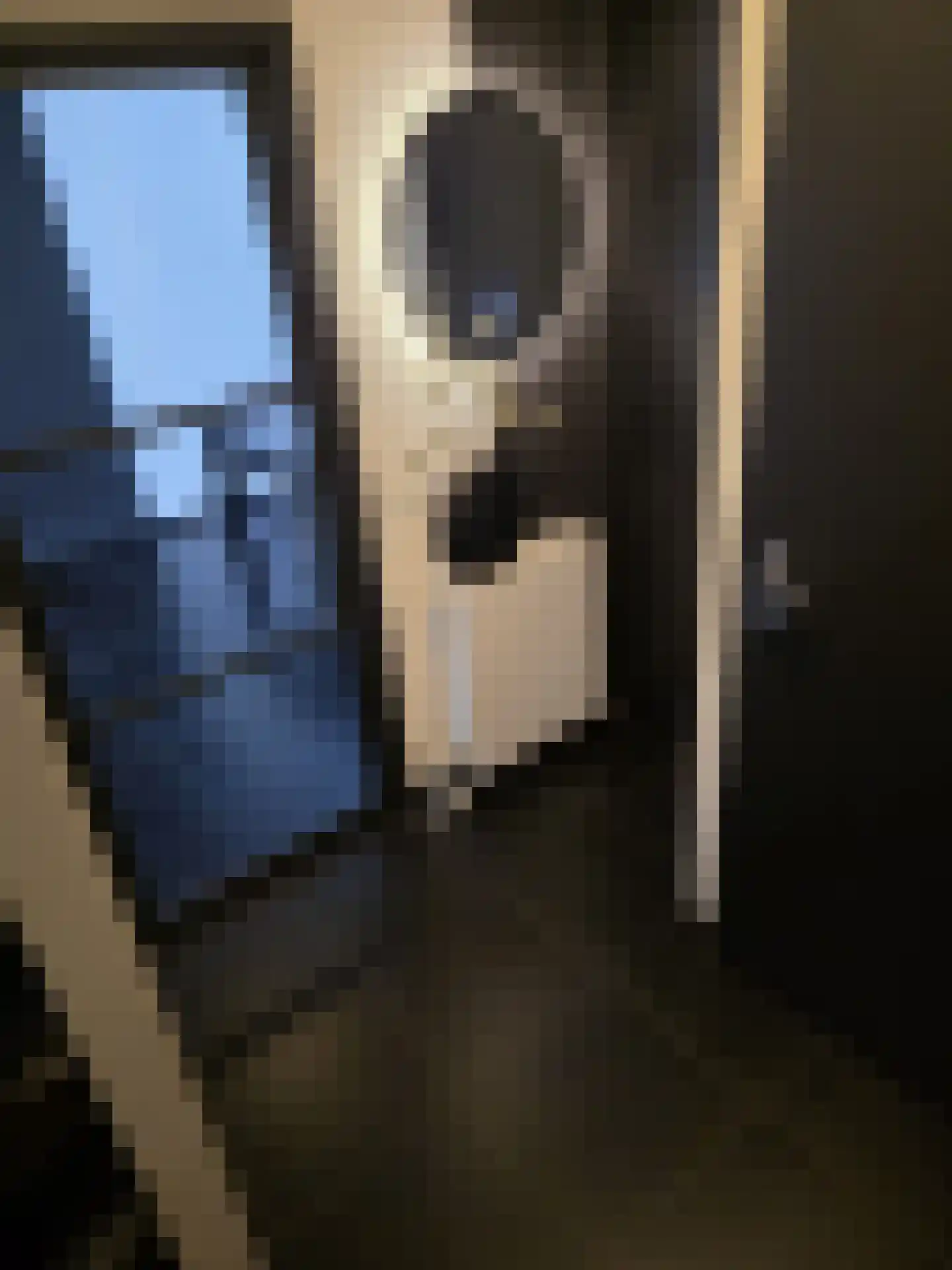 Lavendelstraat 11 Didam thumbnail 5