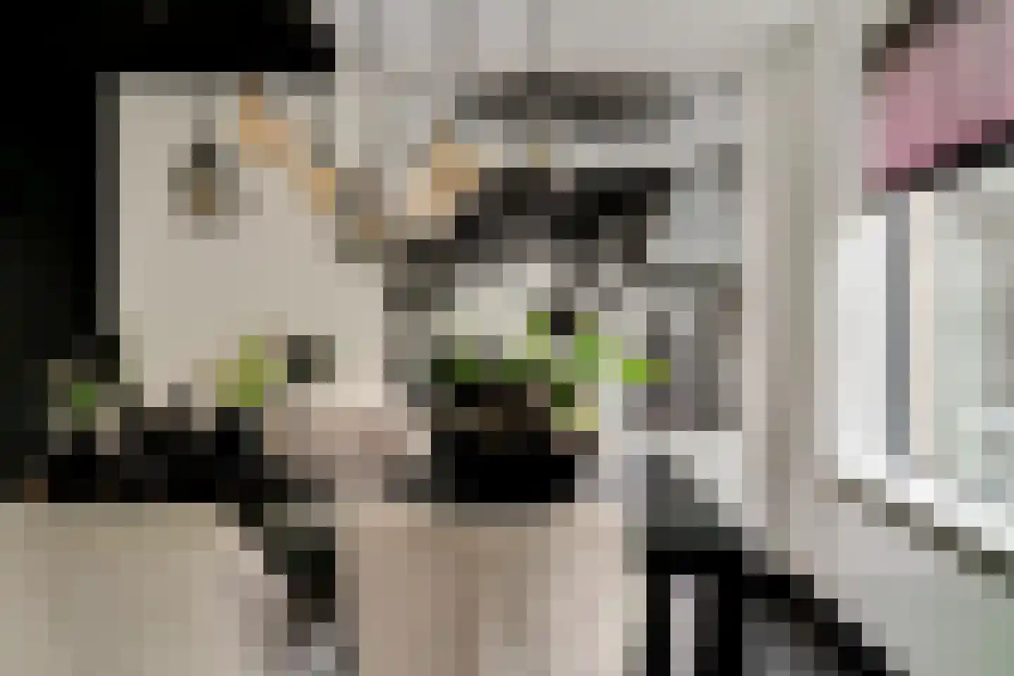 Lavendelstraat 11 Didam thumbnail 6
