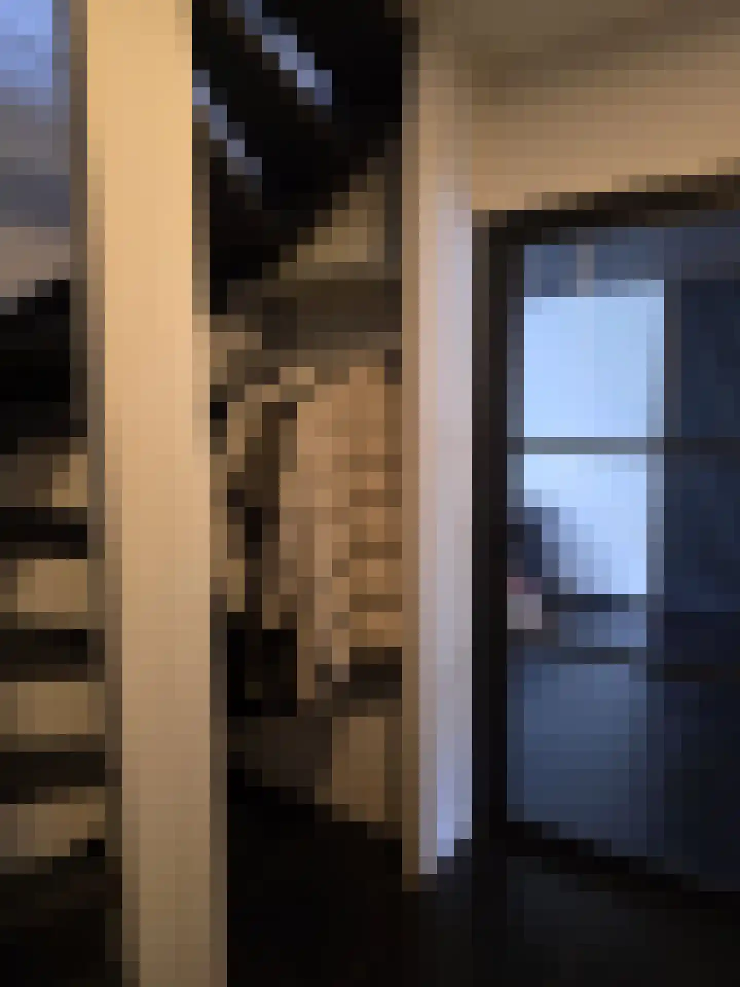 Lavendelstraat 11 Didam thumbnail 6