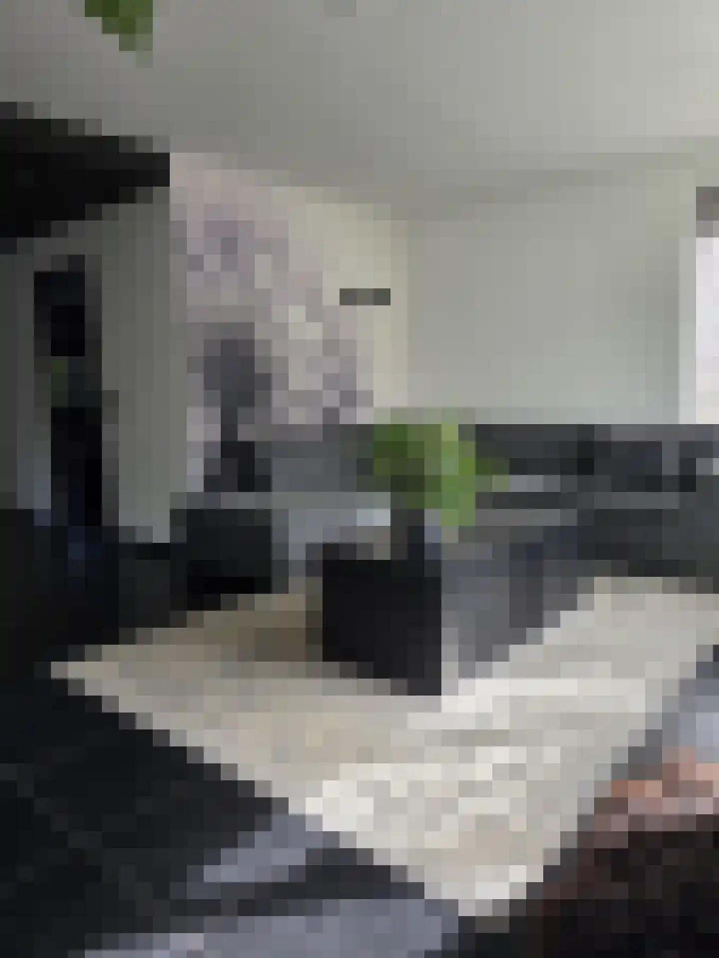 Lavendelstraat 11 Didam thumbnail 7