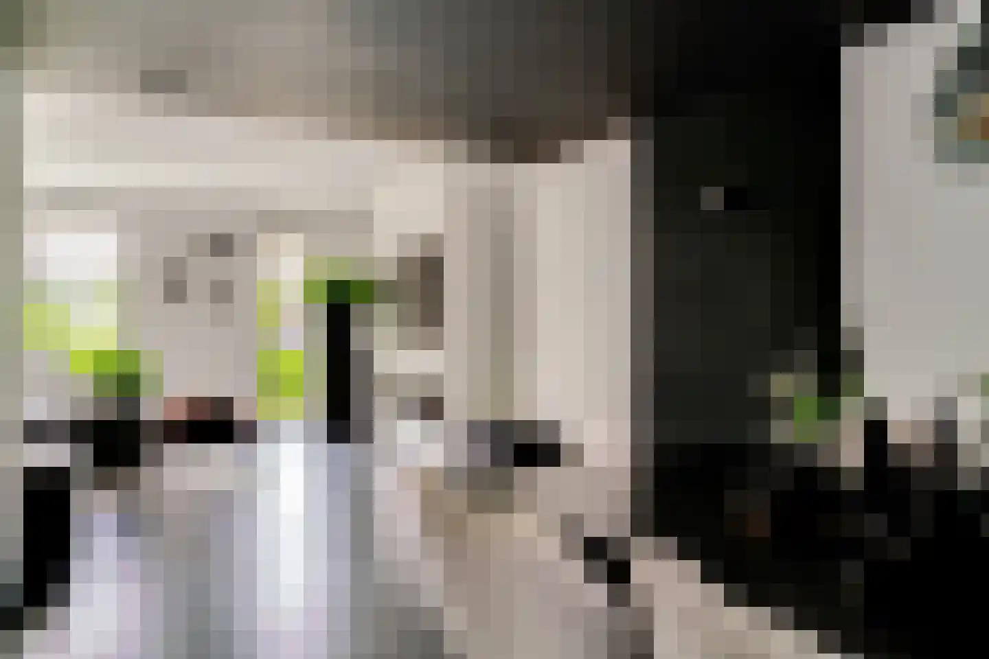 Lavendelstraat 11 Didam thumbnail 7