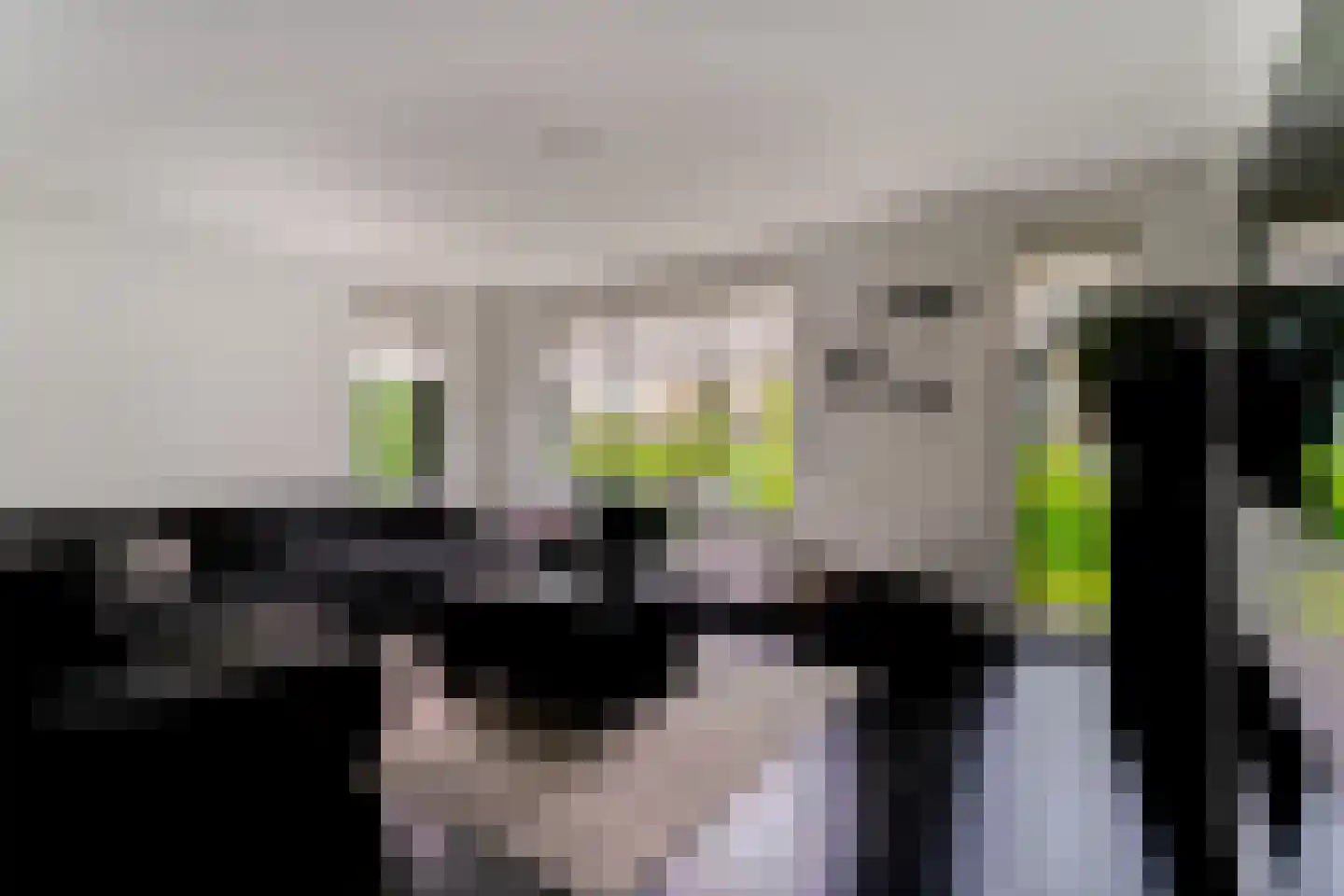 Lavendelstraat 11 Didam thumbnail 9
