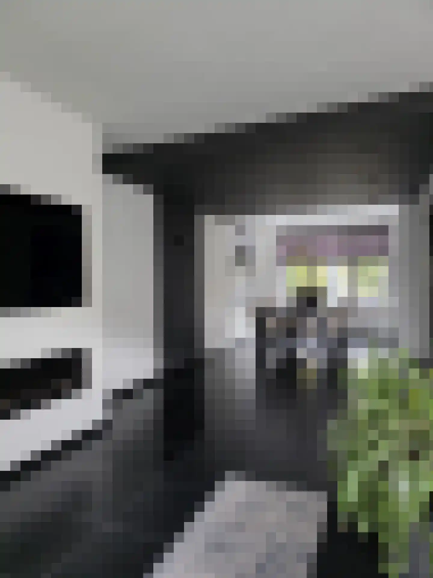 Lavendelstraat 11 Didam thumbnail 9