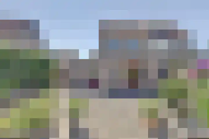 Lavendelstraat 11 's-Gravenpolder thumbnail 32