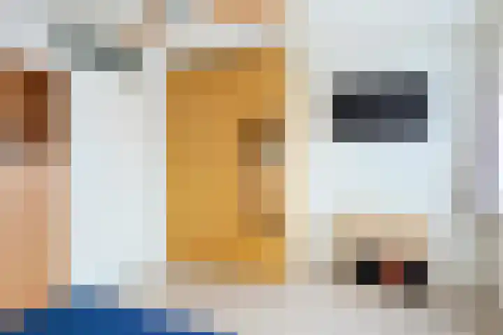 Lavendelstraat 12 Utrecht thumbnail 38
