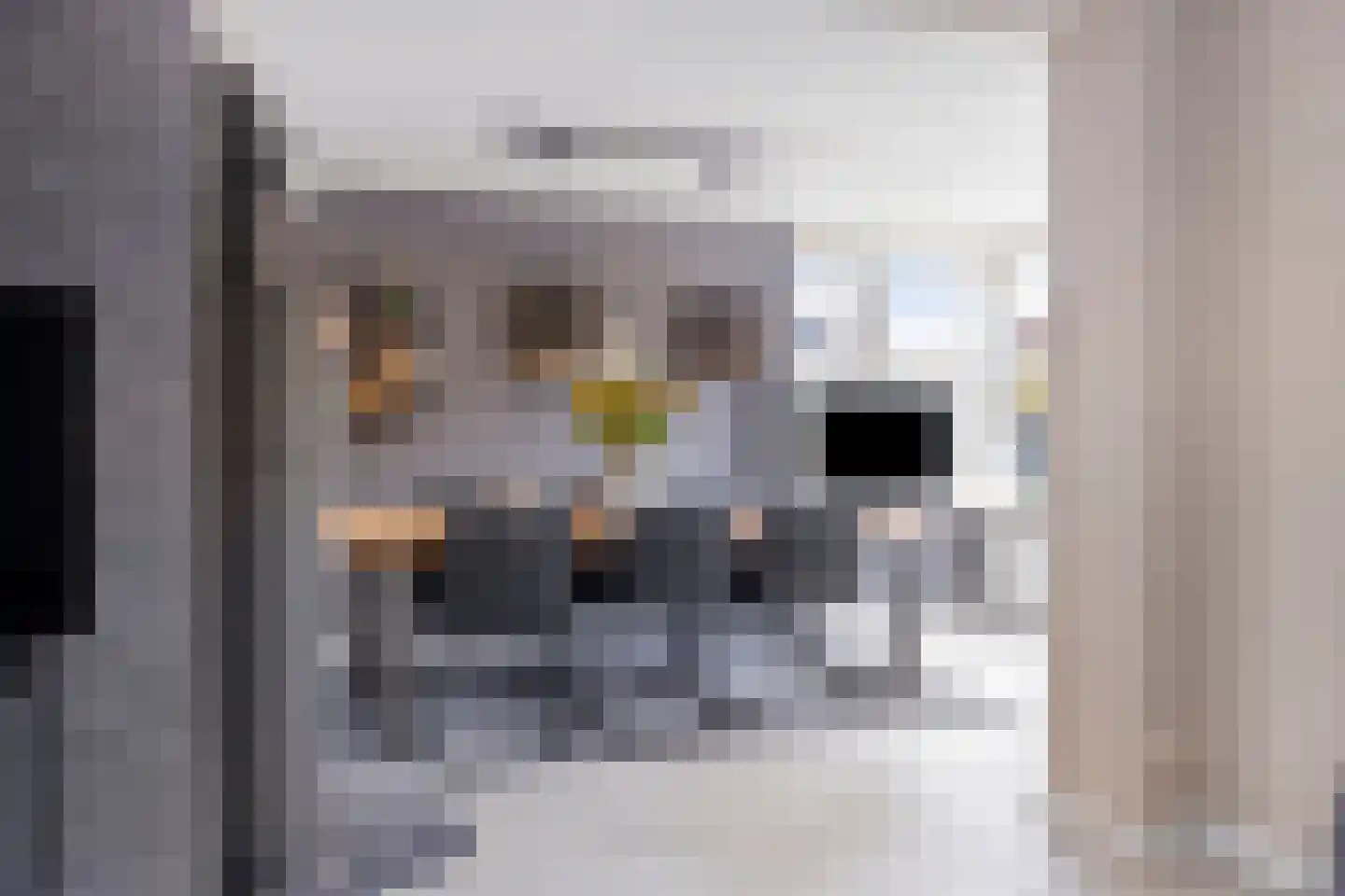 Lavendelstraat 14 Almelo thumbnail 10