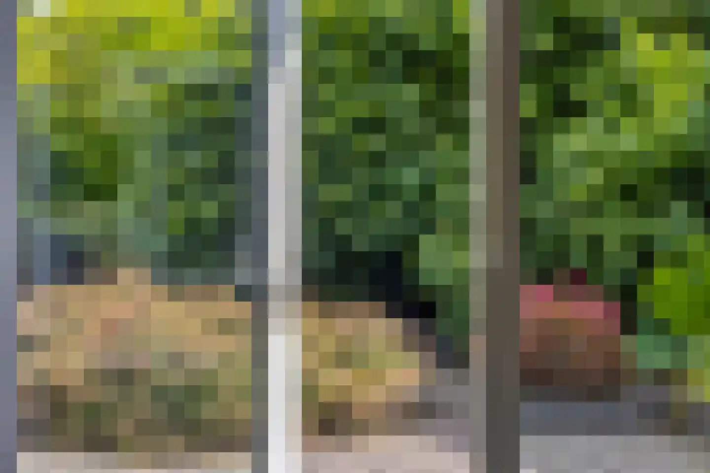 Lavendelstraat 14 Almelo thumbnail 21