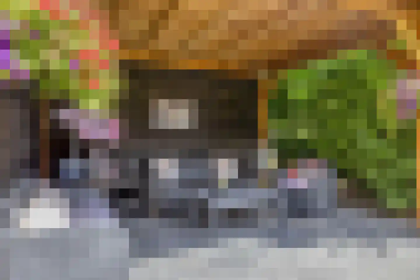 Lavendelstraat 14 Almelo thumbnail 23