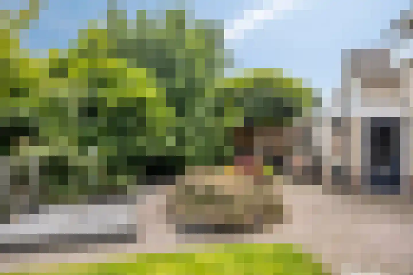 Lavendelstraat 14 Almelo thumbnail 25