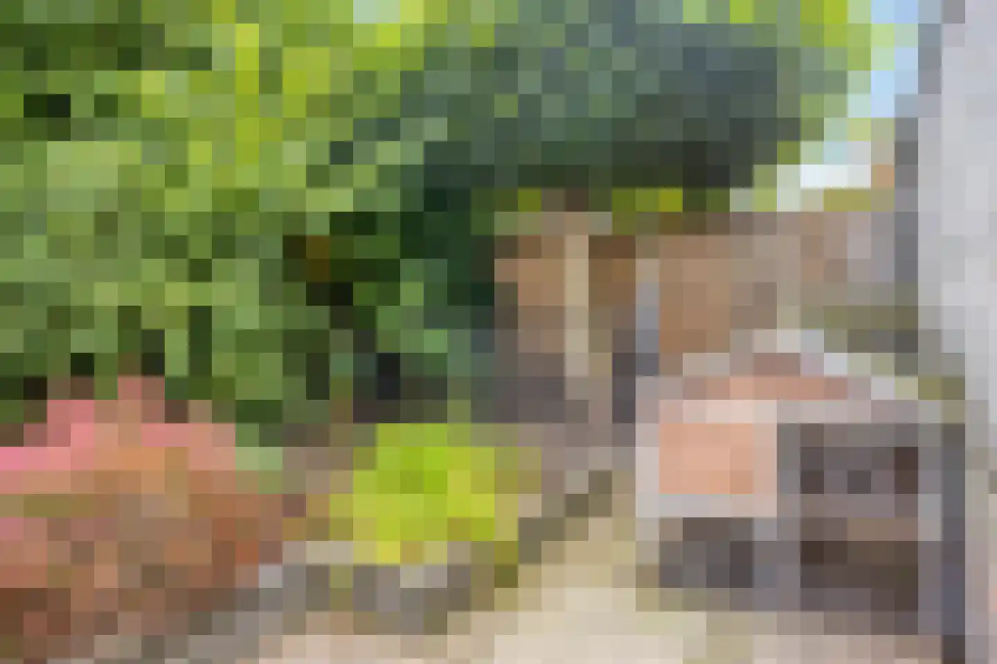 Lavendelstraat 14 Almelo thumbnail 26