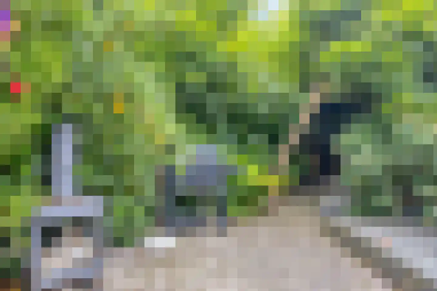Lavendelstraat 14 Almelo thumbnail 27