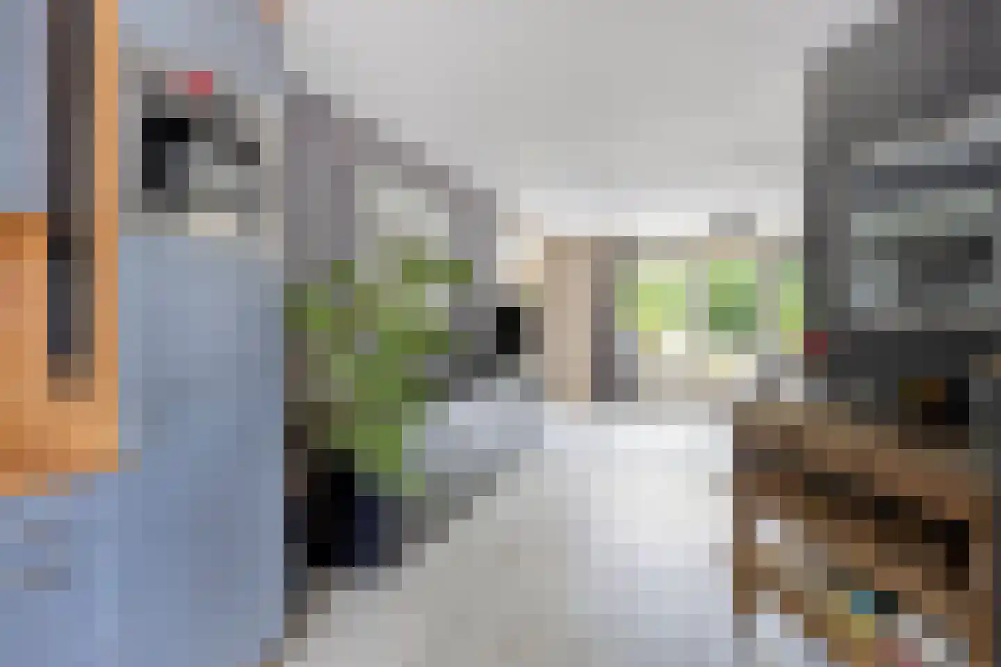 Lavendelstraat 14 Almelo thumbnail 9