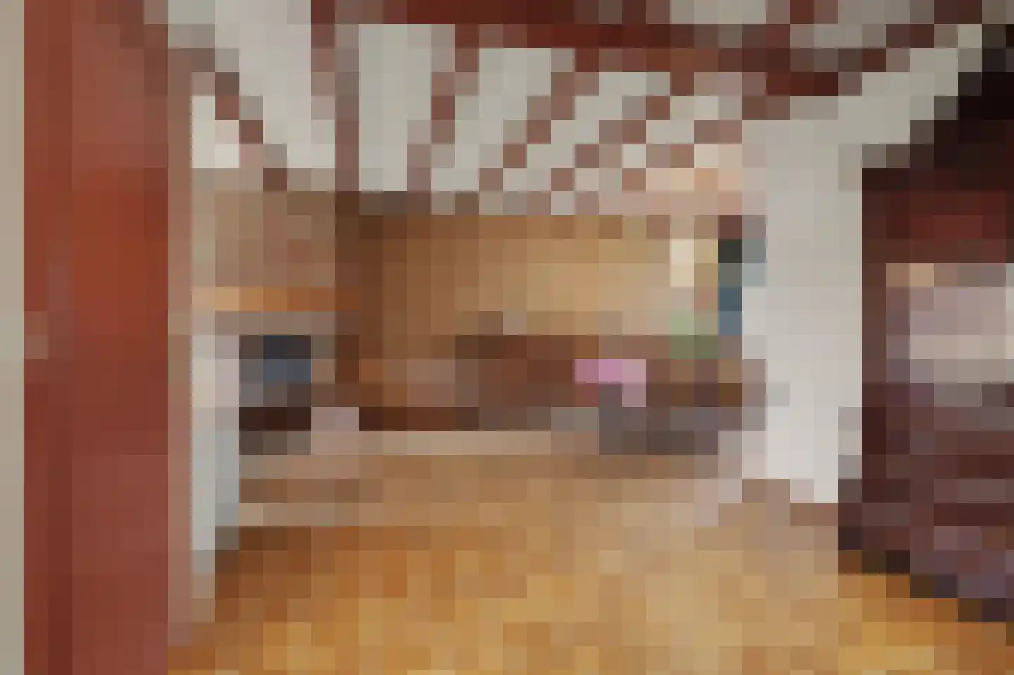 Lavendelstraat 15 Bergeijk thumbnail 14