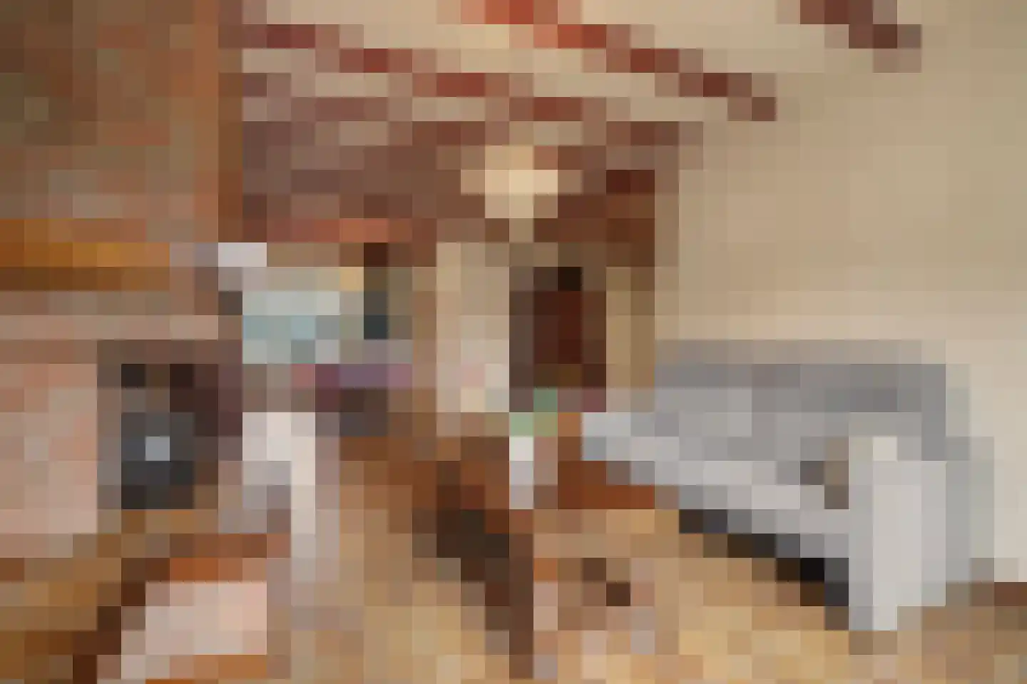 Lavendelstraat 15 Bergeijk thumbnail 15