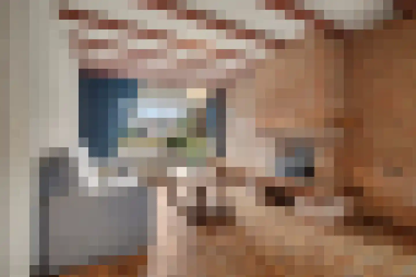 Lavendelstraat 15 Bergeijk thumbnail 16