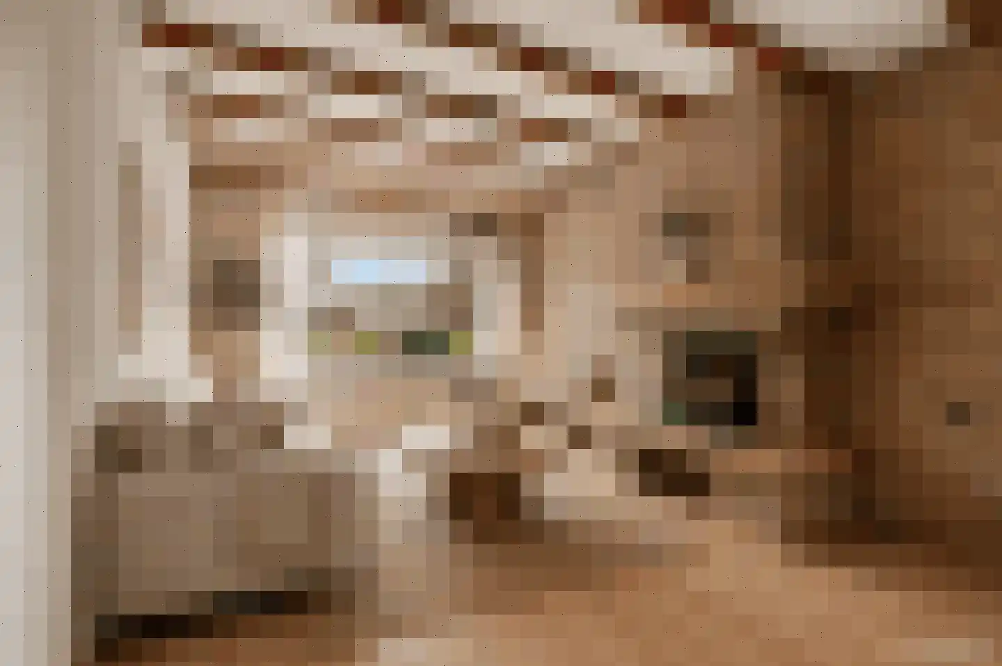 Lavendelstraat 15 Bergeijk thumbnail 17