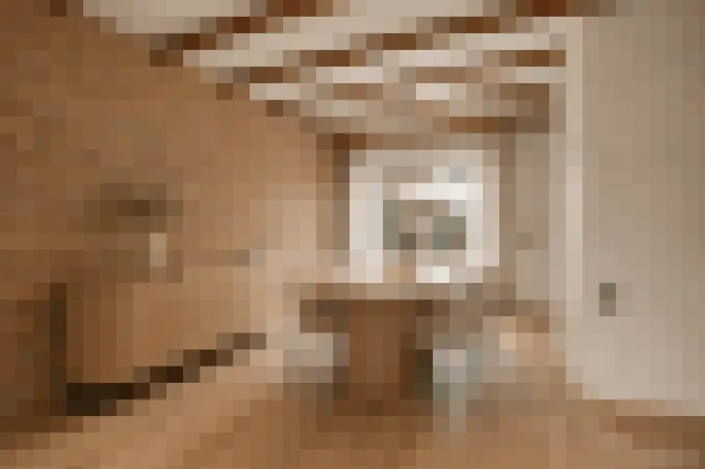 Lavendelstraat 15 Bergeijk thumbnail 21