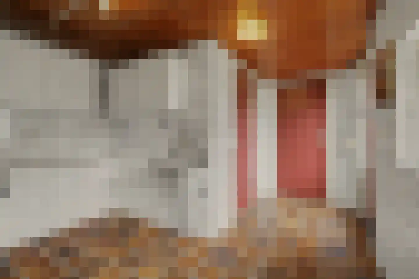 Lavendelstraat 15 Bergeijk thumbnail 26