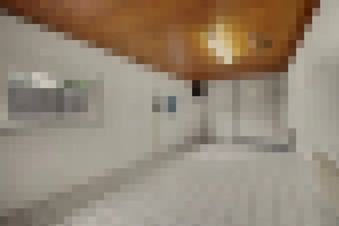 Lavendelstraat 15 Bergeijk thumbnail 28
