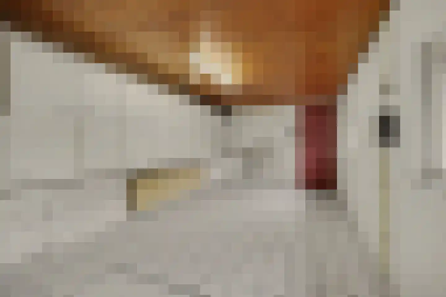 Lavendelstraat 15 Bergeijk thumbnail 29