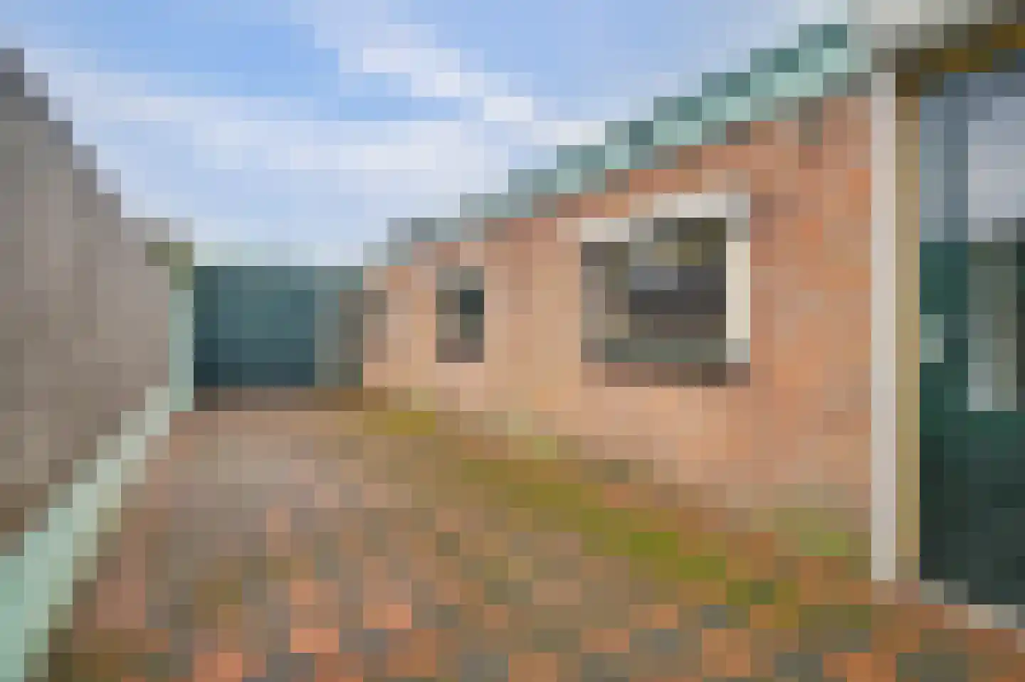 Lavendelstraat 15 Bergeijk thumbnail 42