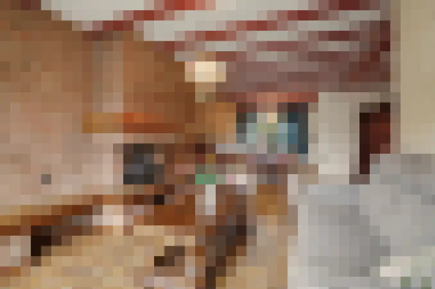 Lavendelstraat 15 Bergeijk thumbnail 5