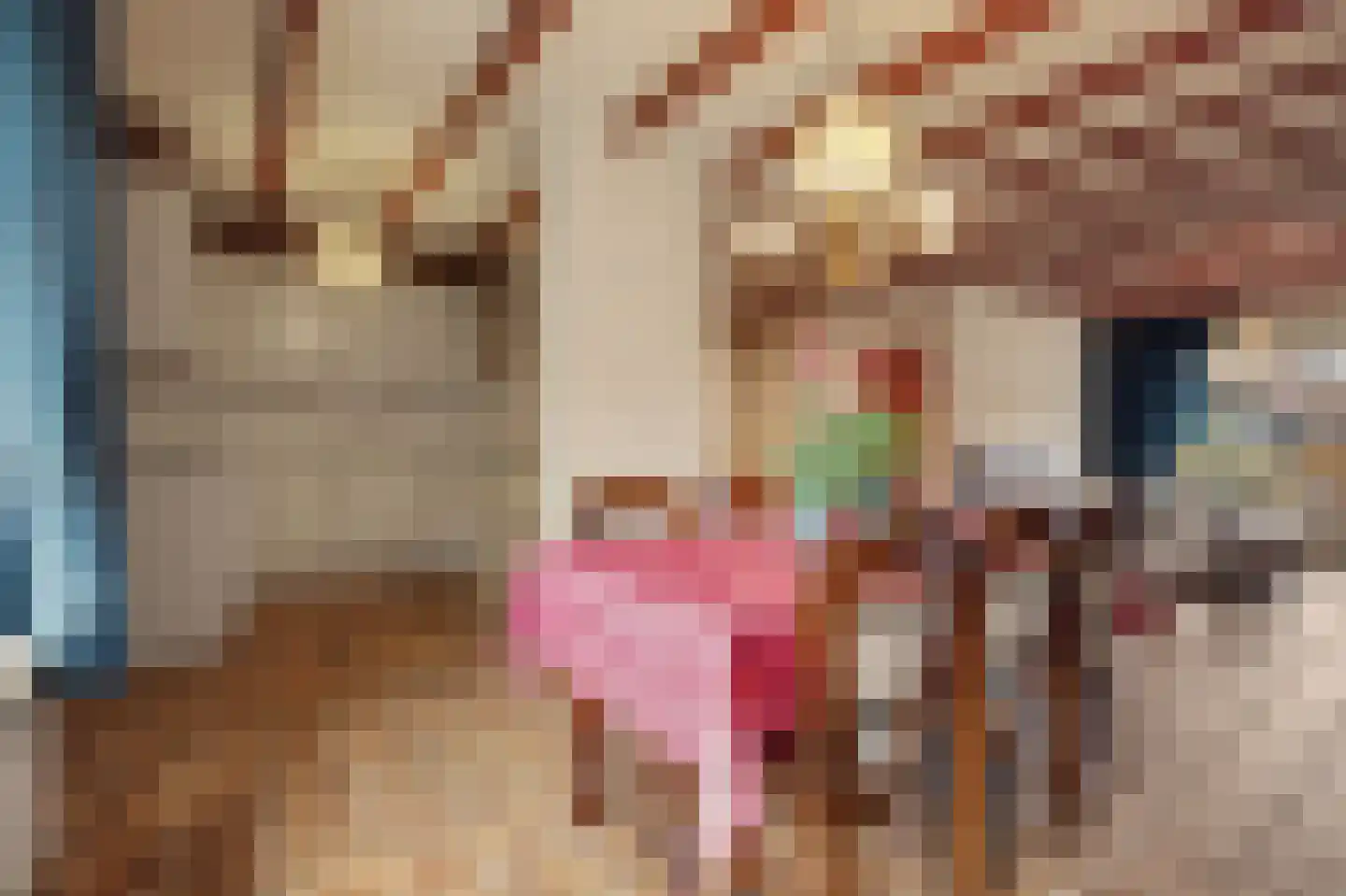 Lavendelstraat 15 Bergeijk thumbnail 6