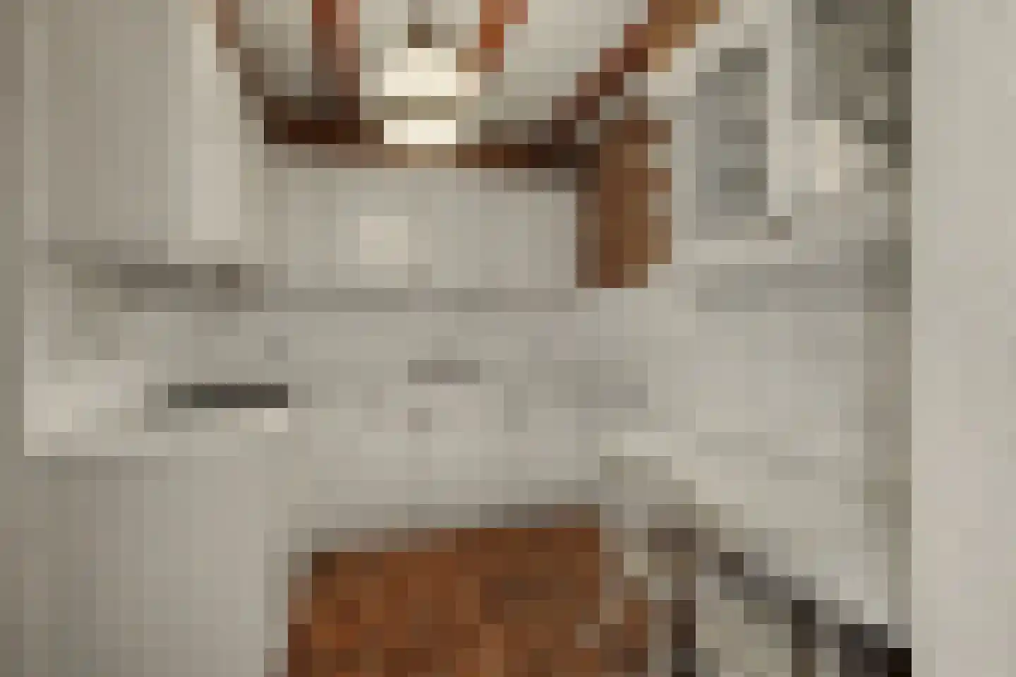 Lavendelstraat 15 Bergeijk thumbnail 7