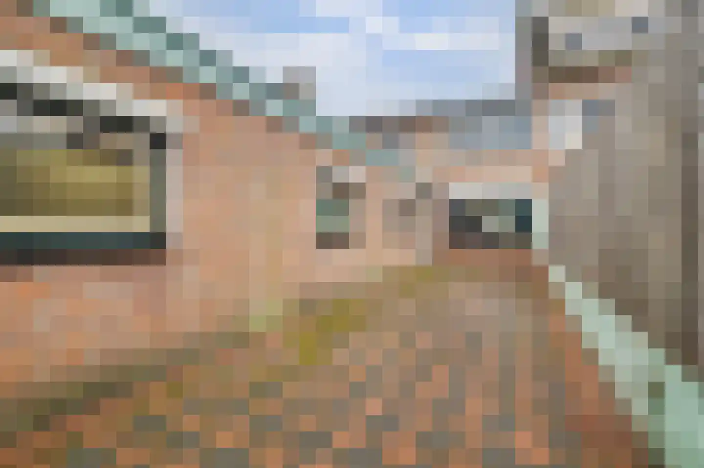 Lavendelstraat 15 Bergeijk thumbnail 9