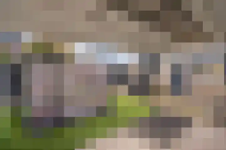 Lavendelstraat 15 Beuningen Gld thumbnail 12