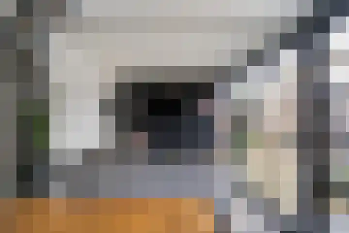 Lavendelstraat 15 Beuningen Gld thumbnail 15