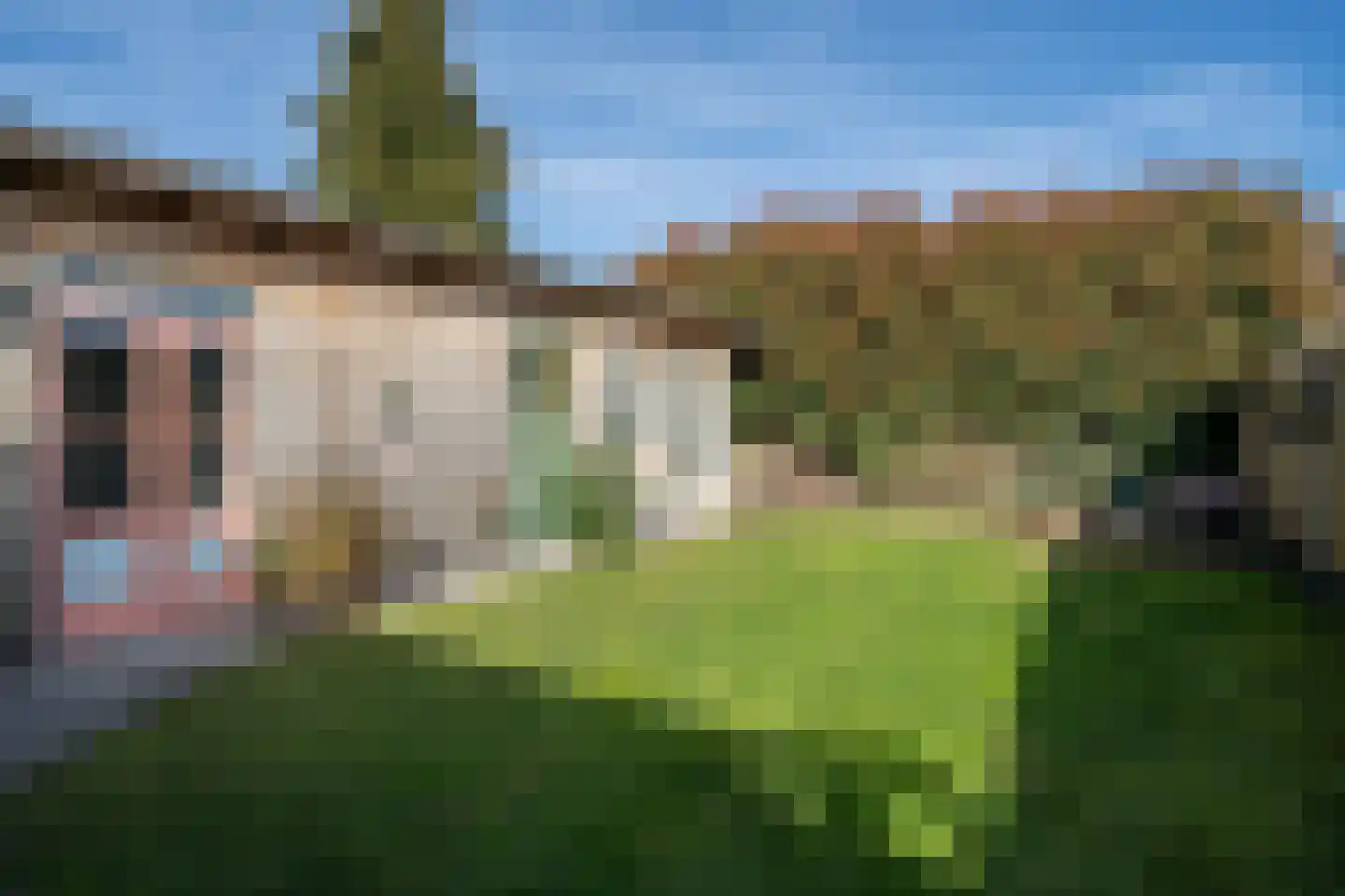 Lavendelstraat 15 Uden thumbnail 33