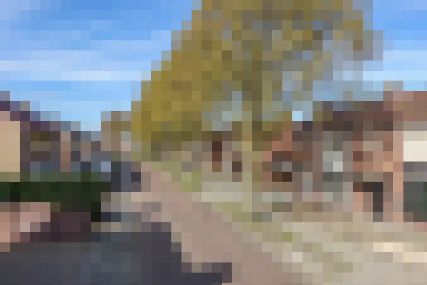 Lavendelstraat 15 Uden thumbnail 4