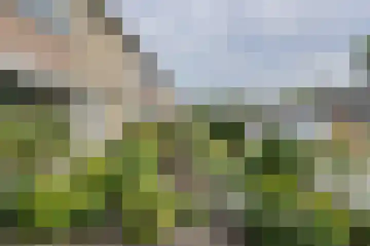 Lavendelstraat 20 Raamsdonksveer thumbnail 10